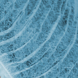 COFIA PLISADA AZUL C/100 PIEZAS
